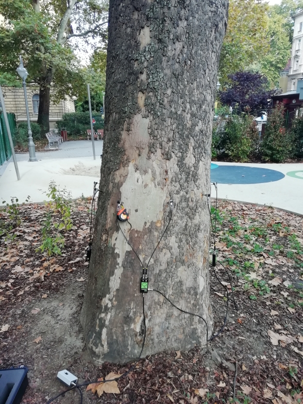ArborSonic 3D on a tree in a playground<br> You can switch between images using the arrow keys