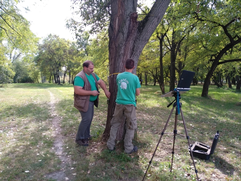The team of Garden Fasorfenntartó during the measurement<br>You can switch between images using the arrow keys