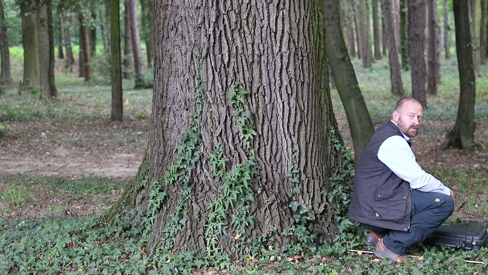 One thought before measuring a great tree<br>You can switch between images using the arrow keys