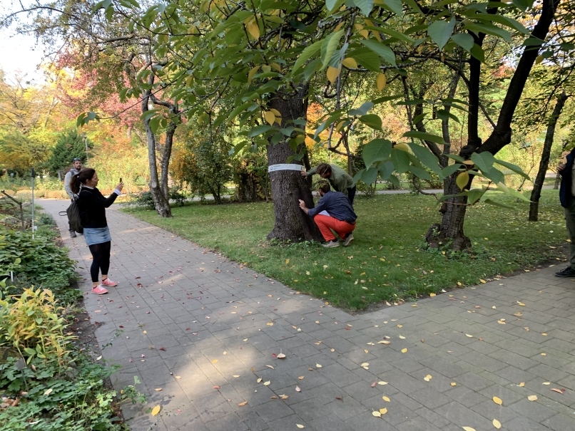 Teams are working in the botanical garden of the ELTE<br>You can switch between images using the arrow keys