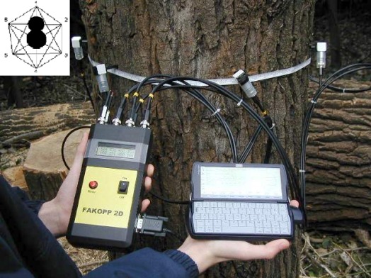 /static/pics/products/arborsonic/arborsonic-history-0.jpg