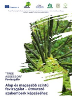 Alap és magasabb szintű favizsgálat