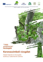 Koronaszintbeli vizsgálat