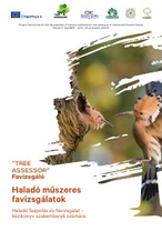 Haladó műszeres favizsgálatok