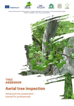 Aerial tree inspection